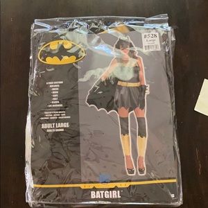 Batgirl Costume